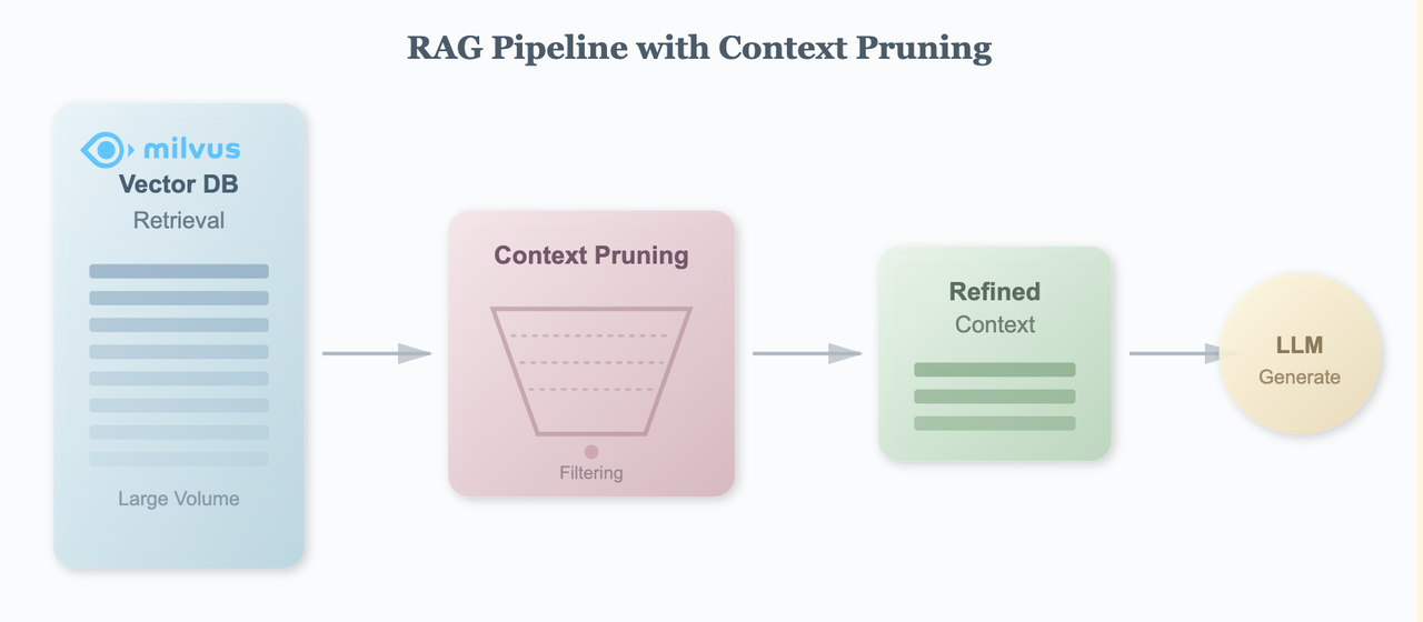 RAG Pipeline with Context Pruning